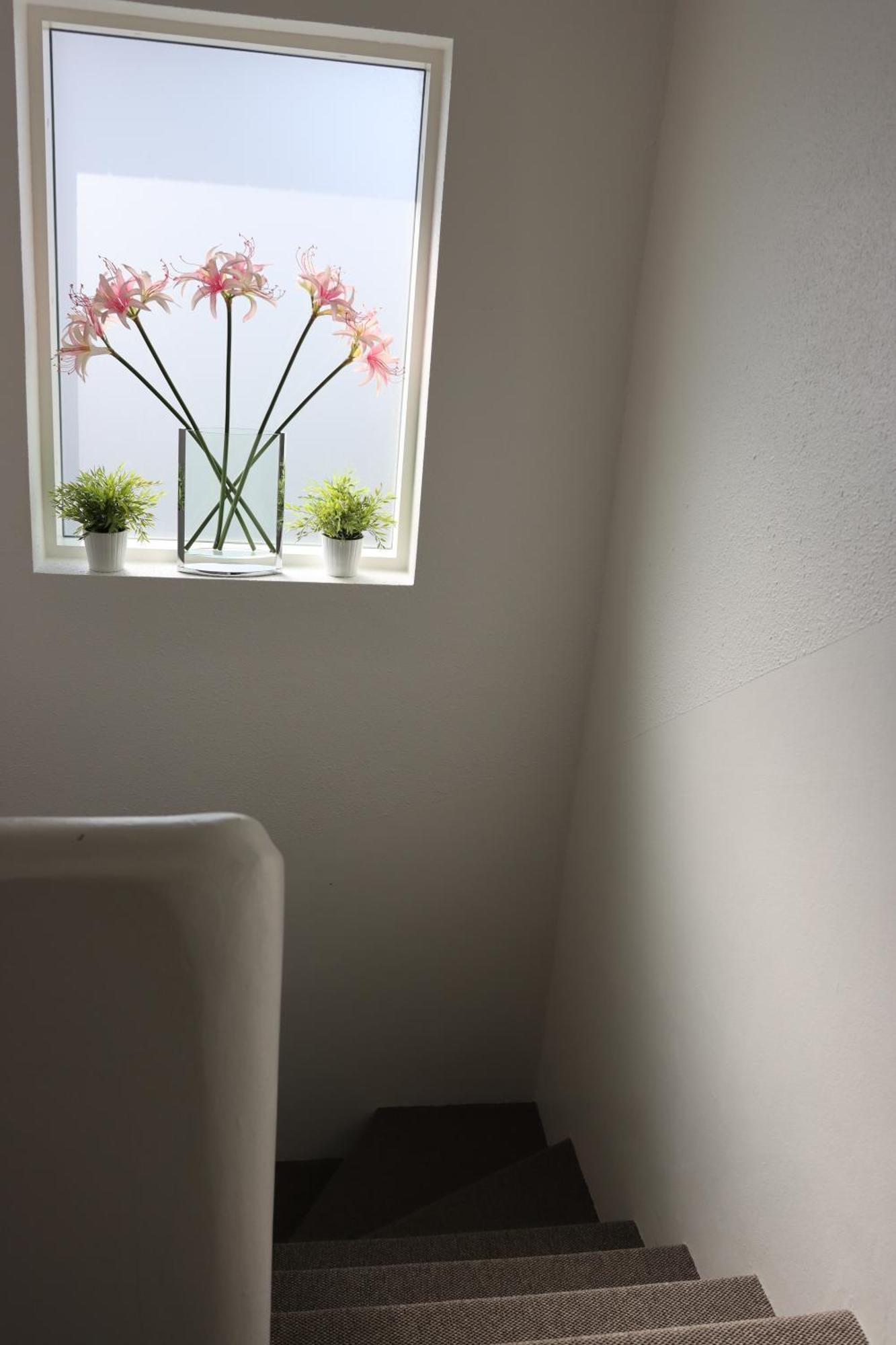 Guesthouse Dyngja Hofn Ngoại thất bức ảnh